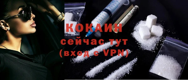 эйфоретик Горняк