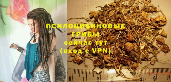 спайс Горнозаводск