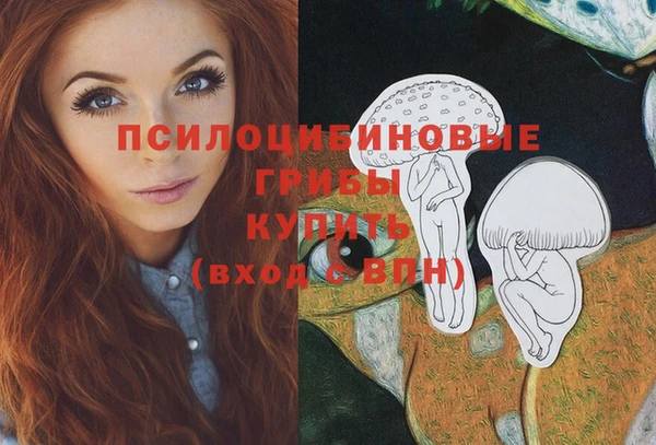 спайс Горнозаводск