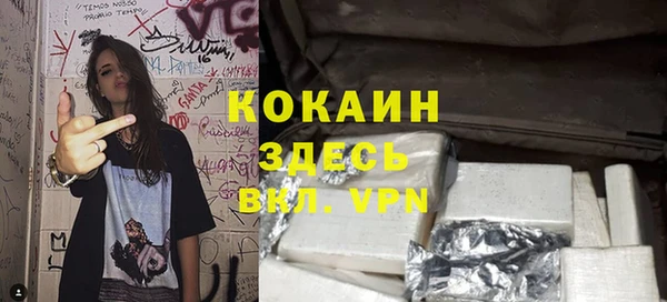 эйфоретик Горняк