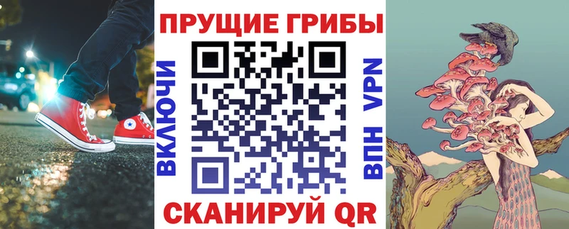 Псилоцибиновые грибы Psilocybe  Купить закладки  Козловка 